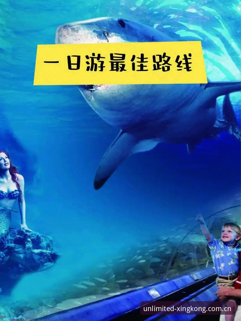 从安装到实战：我评测2026星空体育体育世界的真实使用心得